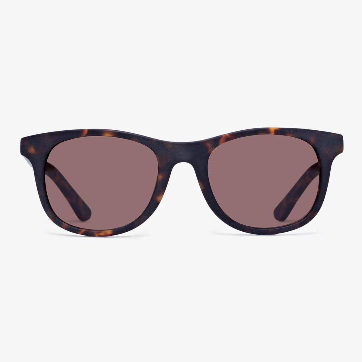 Men's dark turtle sunglasses with brown lenses and tortoiseshell frame